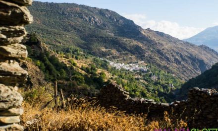 Local Advice: The Best Time to Visit Malaga Spain