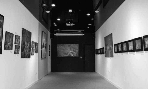 Gallery – Mahatma Showroom