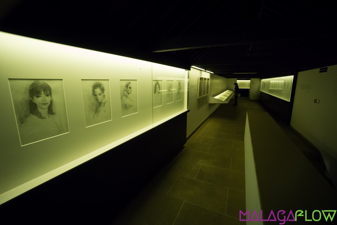 Museo Revello de Toro