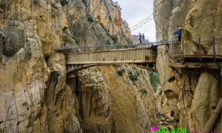 Skip the Tour: Complete Guide on Caminito Del Rey