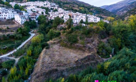 Pueblos Festivals