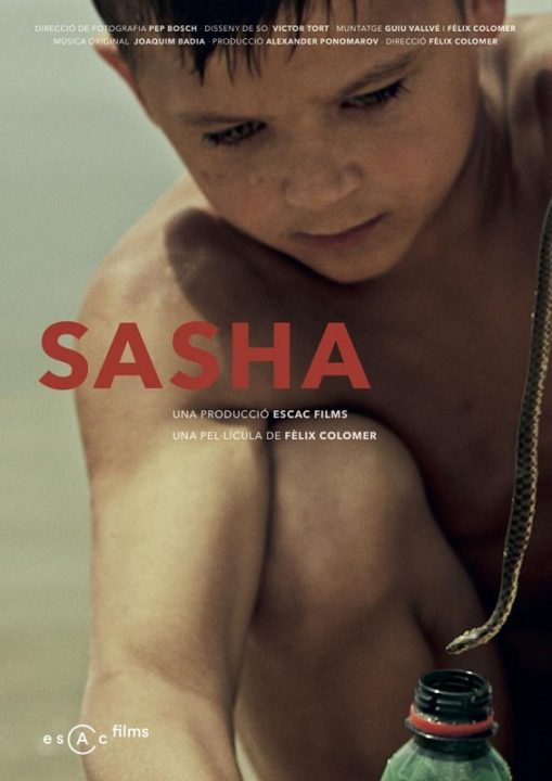 sasha centro cultural mva málaga