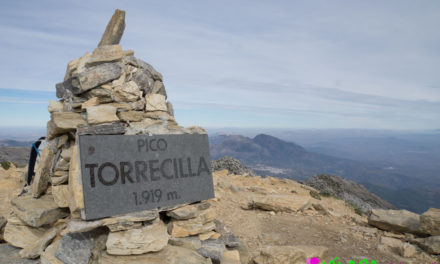 Sierra de las Nieves, Pinsapos y Torrecilla