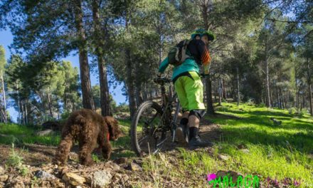 “Bicicleteando” with Moka in Málaga