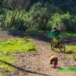 “Bicicleteando” con Moka en Málaga