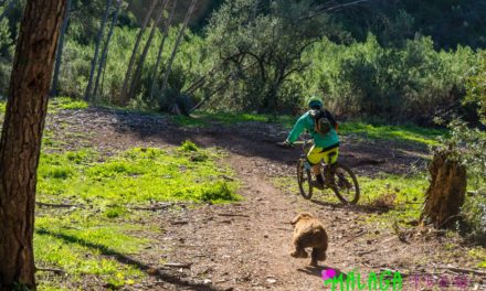 “Bicicleteando” con Moka en Málaga